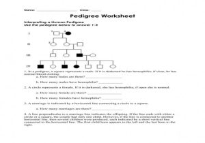 Genetics Pedigree Worksheet Answer Key Along with Genetics Pedigree Worksheet