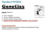 Genetics Pedigree Worksheet Answer Key Along with Human Genetic Pedigrees Ppt