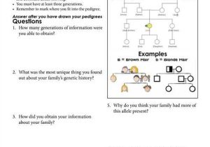 Genetics Pedigree Worksheet Answer Key and Pedigree Worksheets the Best Worksheets Image Collection