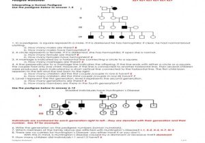 Genetics Pedigree Worksheet Answer Key or Genetics Pedigree Worksheet
