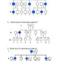 Genetics Pedigree Worksheet Answer Key or Sec 7 1 Chromosomes and Phenotype Worksheet