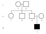 Genetics Pedigree Worksheet Answer Key together with All About Pedigrees Pedigrees for Predicting Genetic Traits