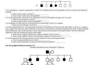 Genetics Pedigree Worksheet Key with Pedigree Worksheet Answers Genetics Cadrecorner