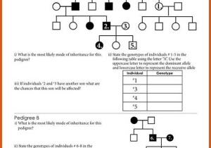 Genetics Pedigree Worksheet with Genetic Pedigree Worksheet the Best Worksheets Image Collection