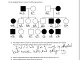 Genetics Practice Problems Simple Worksheet and Free Worksheets Ampquot Pre Algebra Worksheet Free Math Workshee