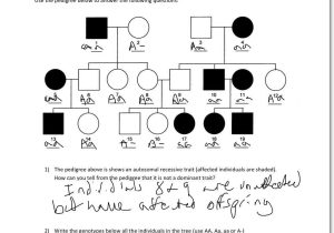 Genetics Practice Problems Simple Worksheet and Free Worksheets Ampquot Pre Algebra Worksheet Free Math Workshee