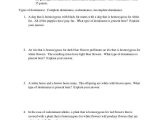 Genetics Practice Problems Worksheet Answers and Fresh Dihybrid Cross Worksheet Inspirational Answer Key to Practice