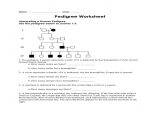 Genetics Worksheet Answer Key and Genetics Pedigree Worksheet