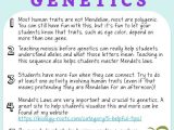 Genetics Worksheet Answers or 5 Helpful Tips for Teaching Genetics