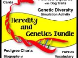 Genetics Worksheet Middle School Also 82 Best Genetics Resources Images On Pinterest