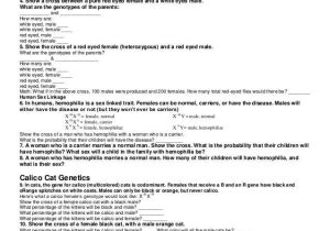 Genetics Worksheet Middle School or X Biology Worksheet Kidz Activities
