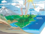 Geography Worksheets Middle School together with Water Cycle