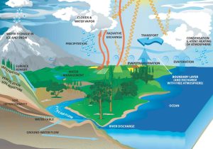 Geography Worksheets Middle School together with Water Cycle