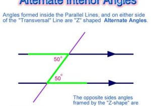 Geometry Parallel Lines and Transversals Worksheet Answers or Geometry Parallel and Perpendicular Lines Worksheet Answers Lovely