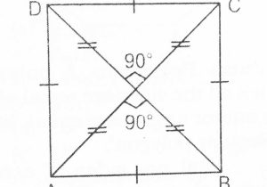 Geometry Parallelogram Worksheet Answers and Important Geometry Notes On Quadrilateral