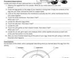 Gifted and Talented Worksheets Along with Need An Egg Experiment This Spring This Science Worksheet Lists the