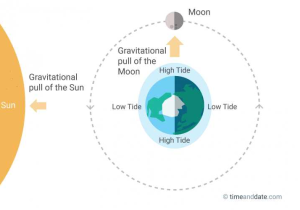 Graphing the Tides Worksheet Answers Also the Moon Causes Tides On Earth