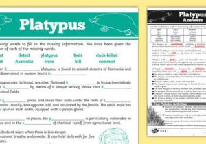 Greek and Latin Roots Worksheet Pdf and Australian Animals Years 3 6 Platypus Differentiated Cloze