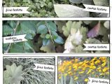 Growing Media for Landscape Plants Worksheet as Well as 72 Best Planting Design Images On Pinterest