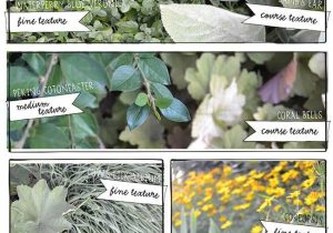 Growing Media for Landscape Plants Worksheet as Well as 72 Best Planting Design Images On Pinterest