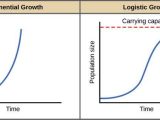 Growth and Decay Worksheet as Well as Environmental Limits to Population Growth