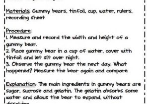 Gummy Bear Science Experiment Worksheet Along with 13 Best Science Project Images On Pinterest