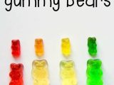 Gummy Bear Science Experiment Worksheet Along with Science for Kids Gummy Bear Science Experiment 1