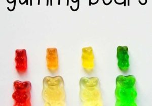 Gummy Bear Science Experiment Worksheet Along with Science for Kids Gummy Bear Science Experiment 1