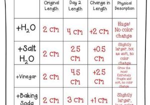 Gummy Bear Science Experiment Worksheet Also 308 Best Science Images On Pinterest
