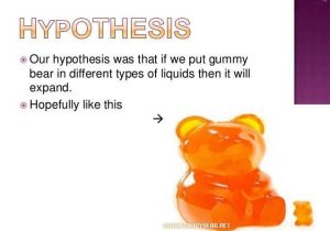 Gummy Bear Science Experiment Worksheet Also Gummy Bear Science Fair Google Search Project