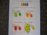 Gummy Bear Science Experiment Worksheet Also Science Project Grow A Gummy Bear