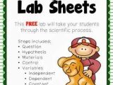 Gummy Bear Science Experiment Worksheet and 13 Best Science Project Images On Pinterest