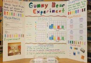 Gummy Bear Science Experiment Worksheet as Well as Science for Kids Gummy Bear Science Prek Science
