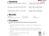 Gummy Bear Science Experiment Worksheet or 13 Best Science Project Images On Pinterest