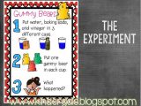 Gummy Bear Science Experiment Worksheet with 13 Best Science Project Images On Pinterest