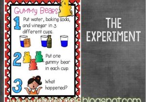 Gummy Bear Science Experiment Worksheet with 13 Best Science Project Images On Pinterest