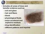 Hair and Fiber Evidence Worksheet Answers Along with Chapter 1 Introduction to forensic Science and the Law Ppt Video
