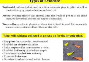 Hair and Fiber Evidence Worksheet Answers Also Honors forensic Science Ppt