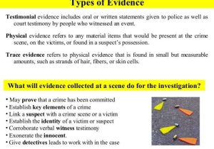 Hair and Fiber Evidence Worksheet Answers as Well as Crime Scene Investigation Powerpoint – Quantumgaming