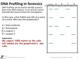 Hair and Fiber Evidence Worksheet Answers as Well as topic 3 Genetics Monique Lowes Ib Blog