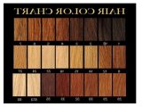 Hair Color formulation Worksheets together with Hair Color Number 2 1000 Ideas About Hair Colors On Pinteres