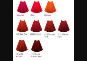 Hair Color formulation Worksheets with Red Hair Dye Colours Charts Best Wallpaper Omundodelua