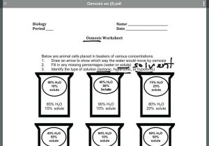 Hand Washing Worksheets Along with Osmosis Worksheet Answer Key the Best Worksheets Image Colle
