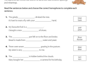 Hands On Banking Worksheet Answers Also 230 Free Pronunciation Worksheets