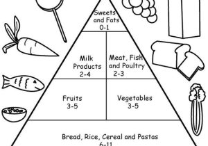 Healthy Eating Worksheets as Well as 134 Best Food Groups & Health Images On Pinterest