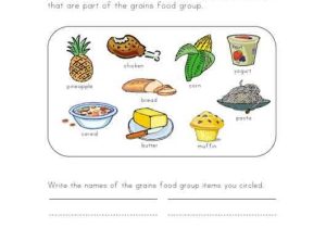 Healthy Food Worksheets Along with This Simple Food Worksheet is Perfect for Any Food or Grains Food