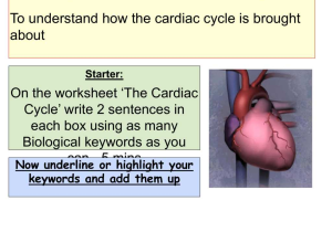 Heart Valves and the Cardiac Cycle Worksheet Answers with Cardiac Cycle Worksheet Answers Choice Image Worksheet for