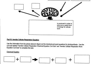 High School Chemistry Worksheets Along with Biology Worksheets Pdf