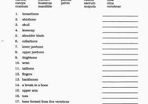 High School Vocabulary Worksheets or Ziemlich Anatomie In Der High School Galerie Menschliche Anatomie