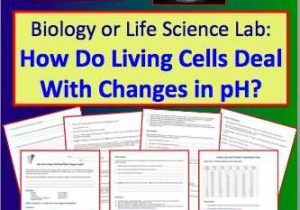 Holt Biology Cells and their Environment Skills Worksheet Answers Along with 60 Best Cells Images On Pinterest